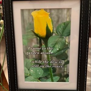 5x7. Beautiful rose with verse